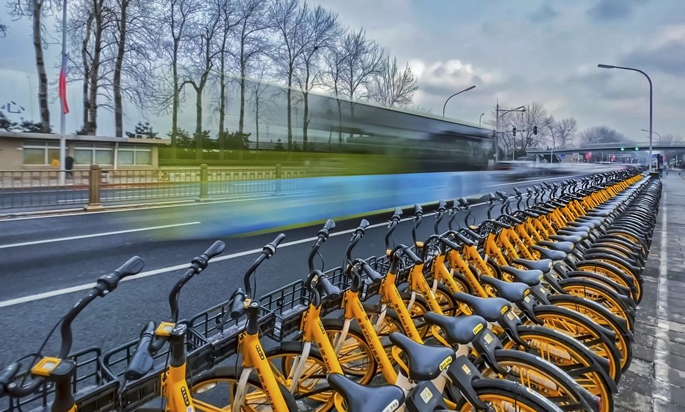 Photograph by 张 旭