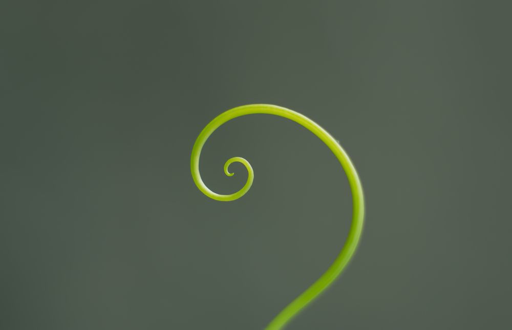 Photograph by Олег Зальвовский