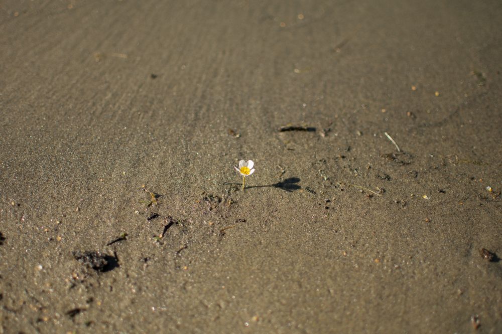 Photograph by Юлия Андреева