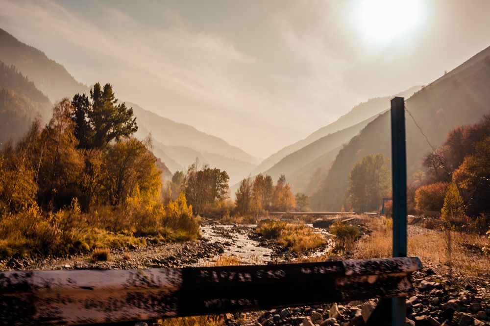 Photograph by Юлия Подлеснова