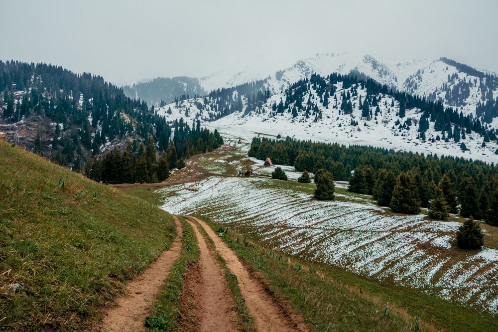 Photograph by Юлия Подлеснова