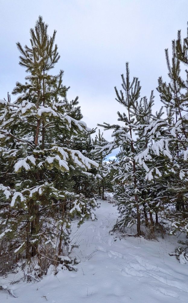 Photograph by Александра Яценко