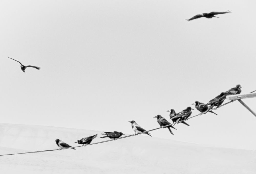 Фотография автора Jafar Zavvar