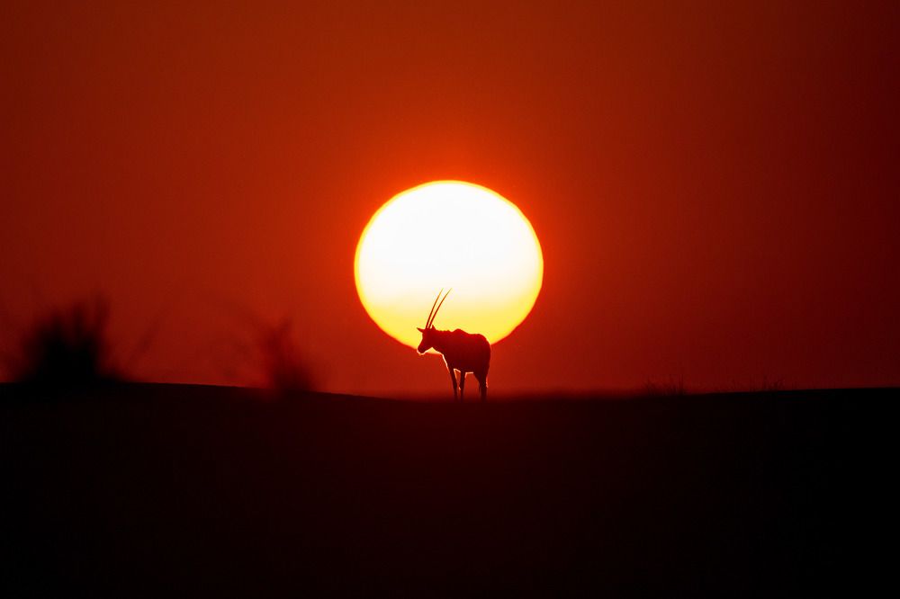 Photograph by Zubair Irshad