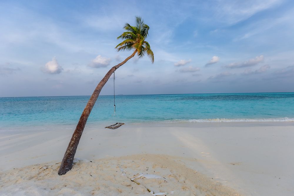 Photograph by Elena Gebert