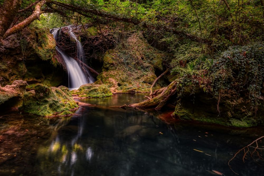 Photograph by Dragos Ivanel