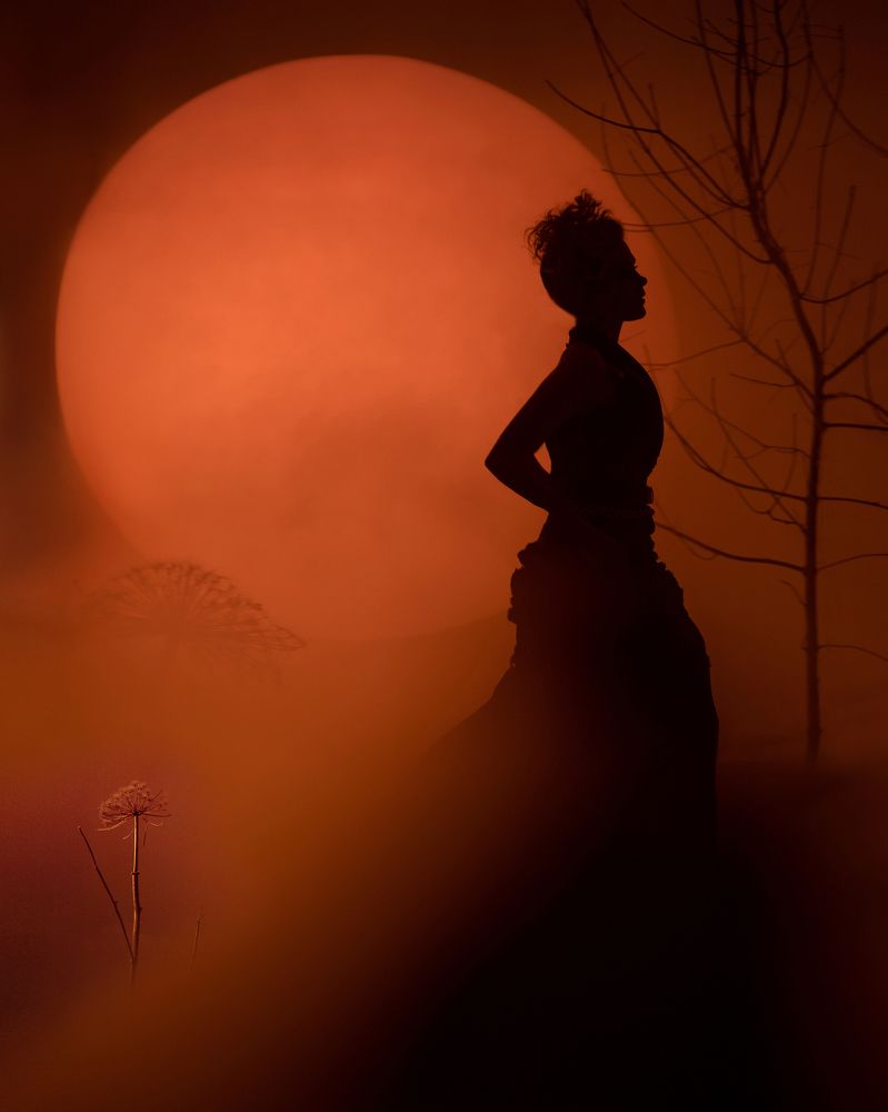 Photograph by Алла Чернова