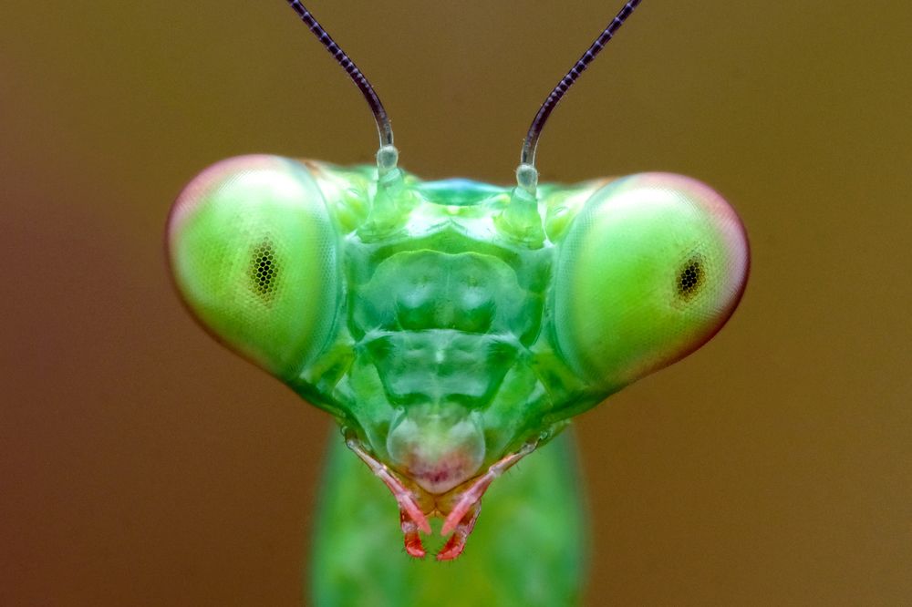 Photograph by KAIYEN LEE