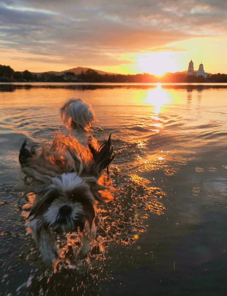 Photograph by Юлия Гинтер