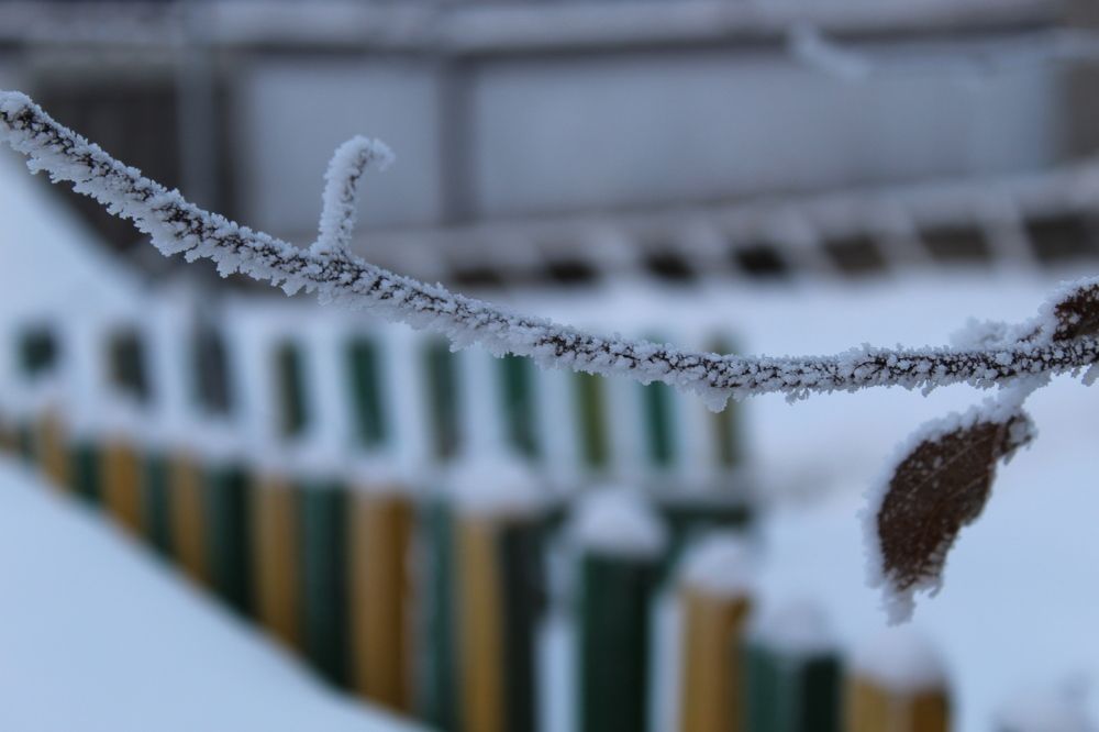 Photograph by Наталия