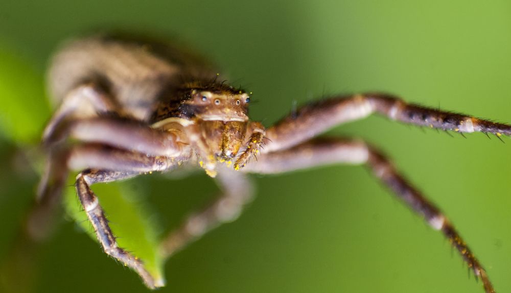 Photograph by Роман Приходько