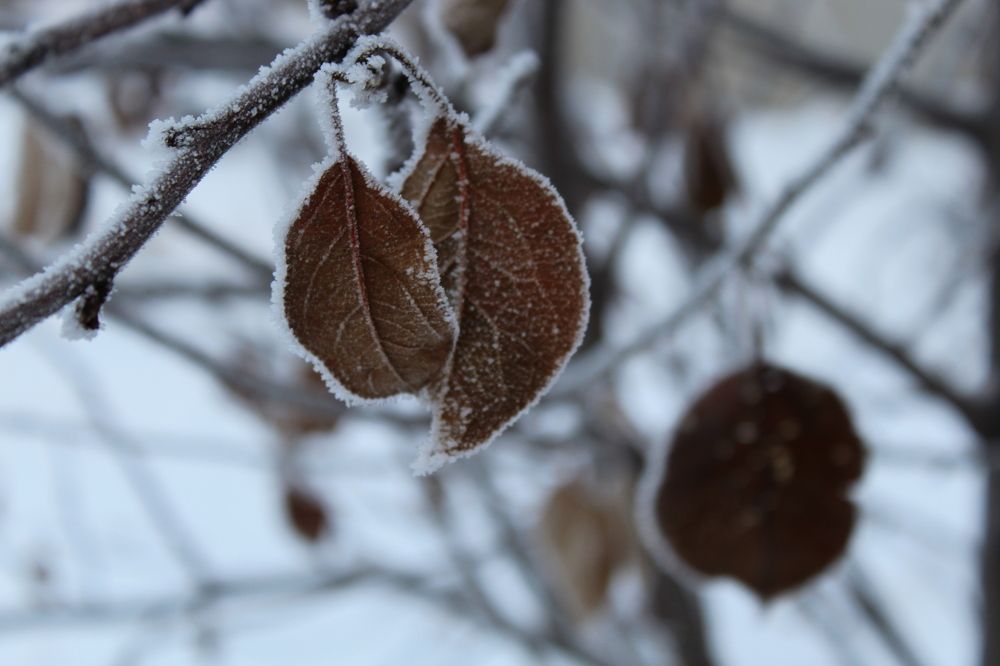 Photograph by Наталия