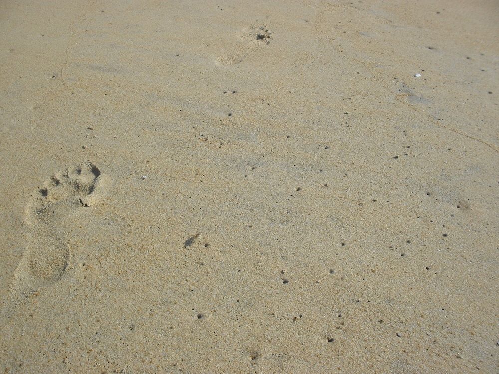 Photograph by Наталия