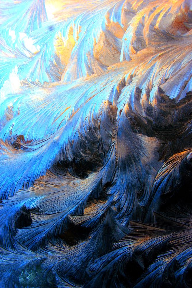 Царство берендея