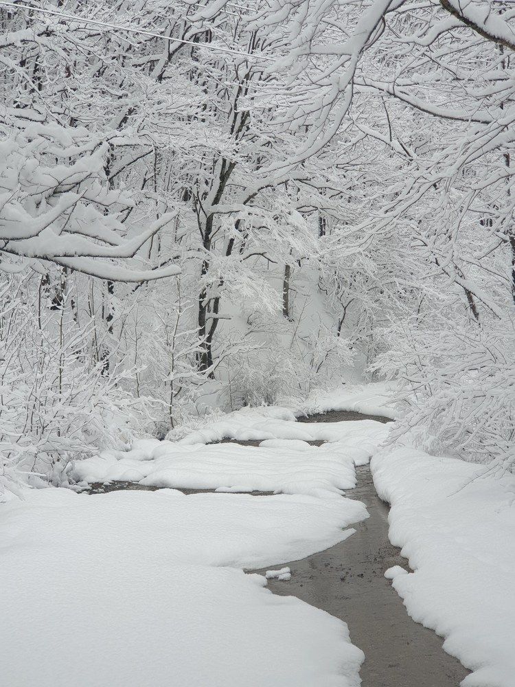 Photograph by Куликова Ирина