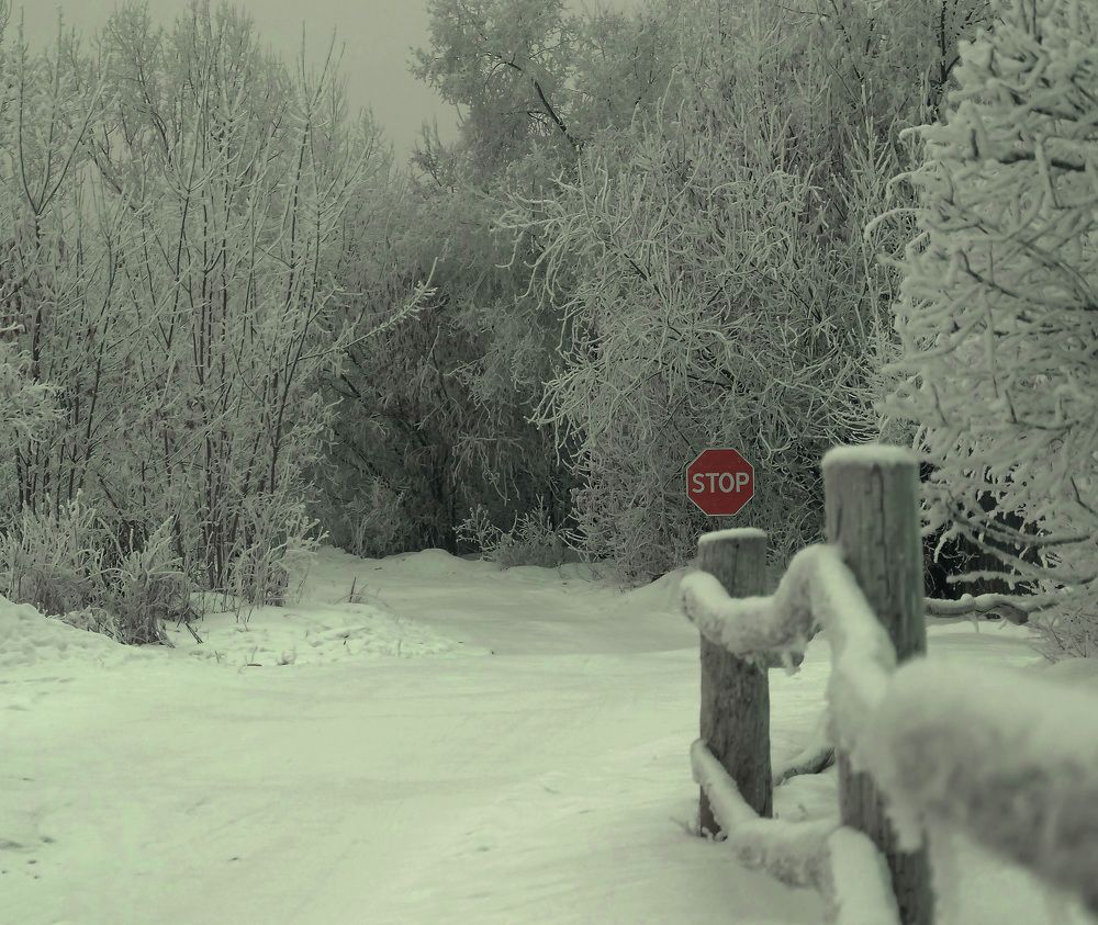 Photograph by Оксана Батракова