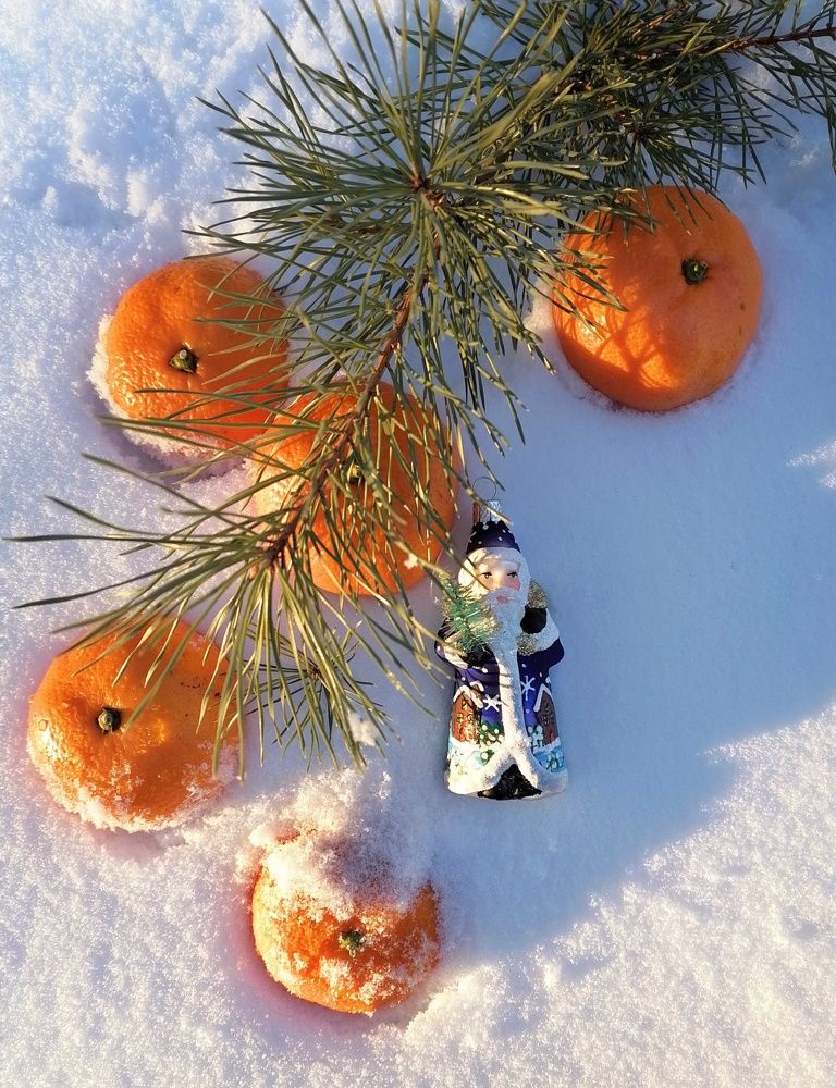 Photograph by Светлана Шелухеева