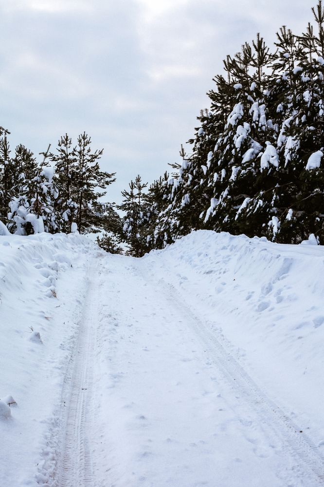 Photograph by Maria Kurakhtanova