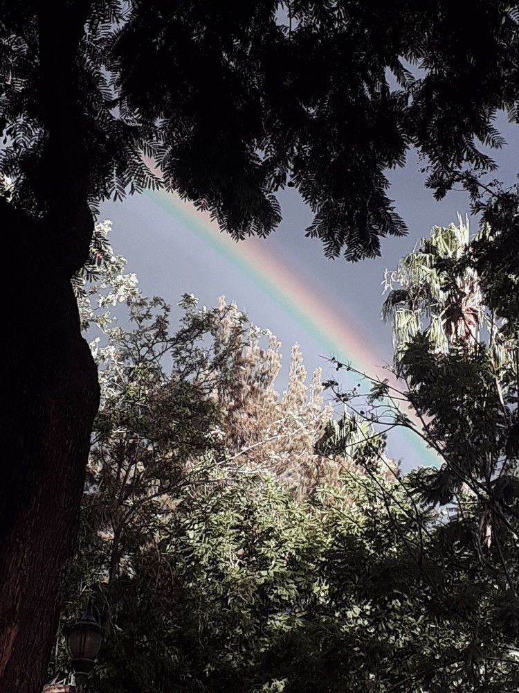 Photo #7082198