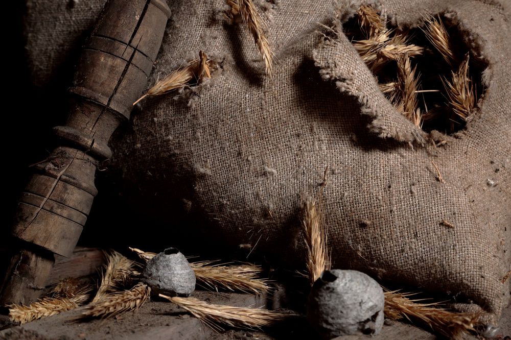 Photograph by Michael Sumerin