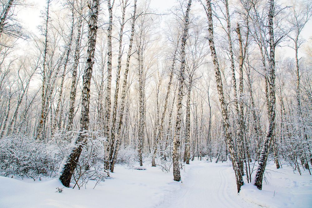 Photograph by Вера Лазарева