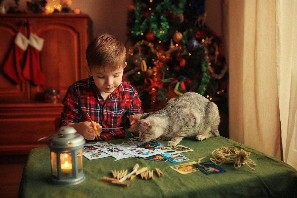 Photograph by Алёна Алисова