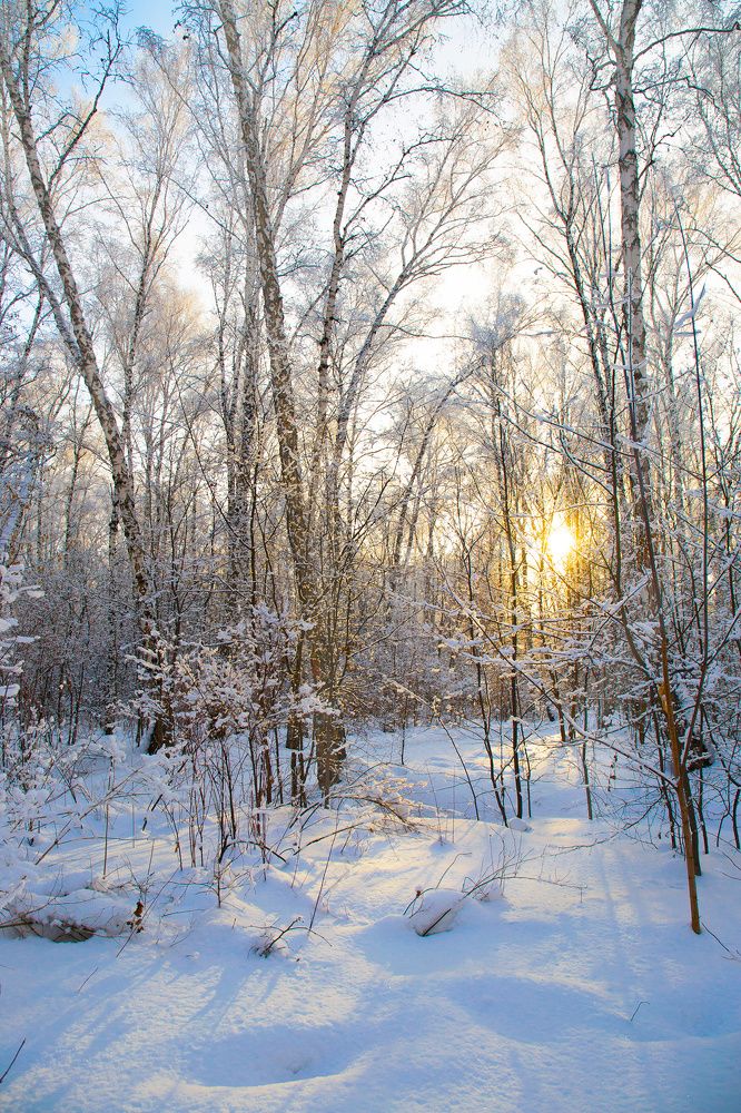 Photograph by Вера Лазарева