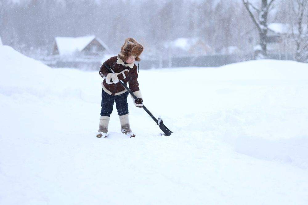 Photograph by Савиных Дарья