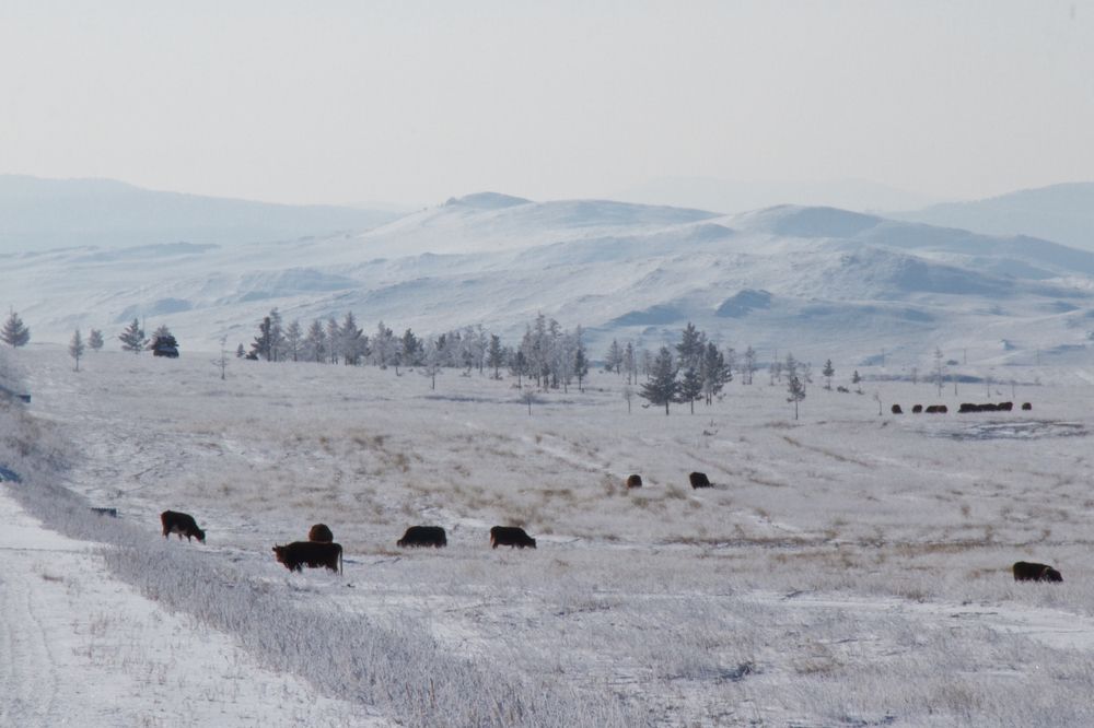Photograph by Алёна Гильмуллина