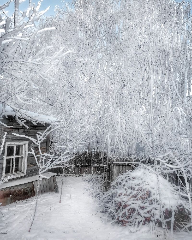 Photograph by Денис Шамров