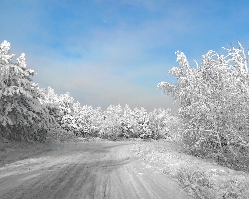 Photograph by Денис Шамров