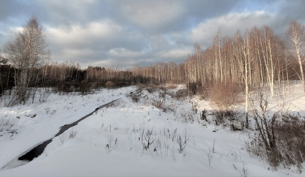 Photograph by Елена Иванова