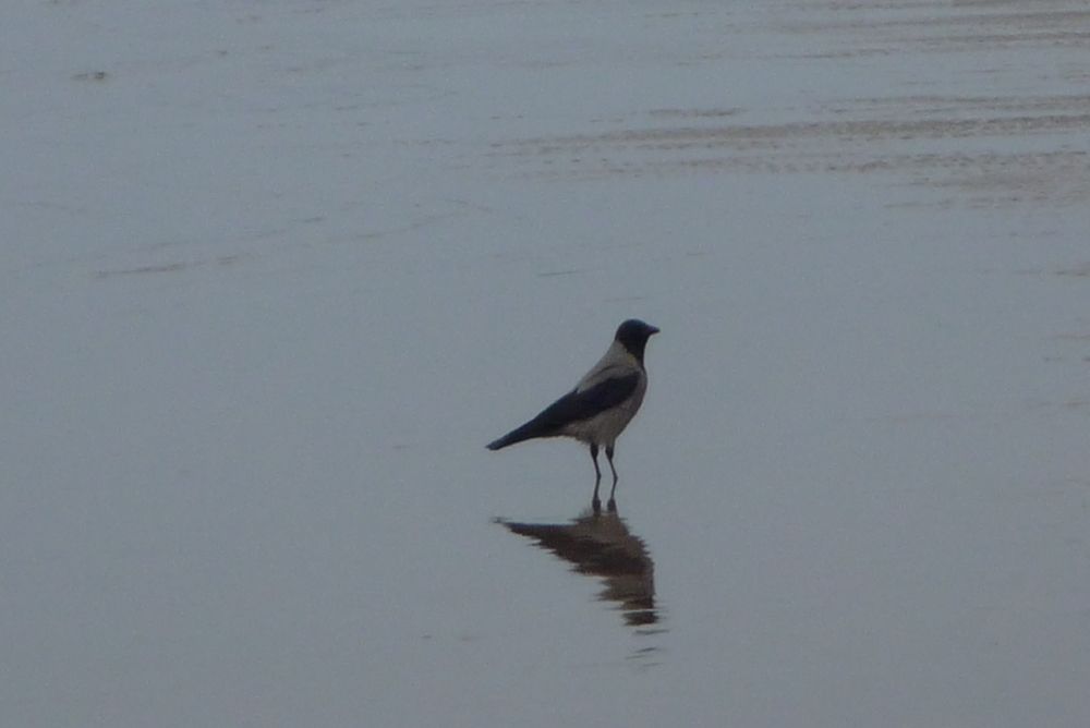 Photograph by Людмила