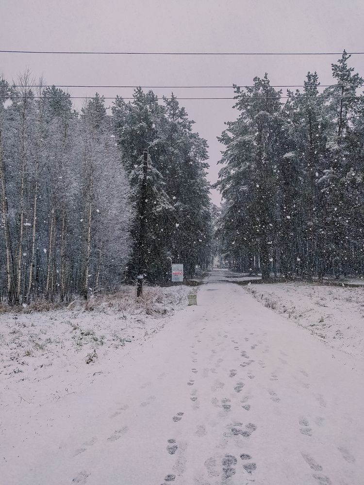 Photograph by Олеся Бронзова