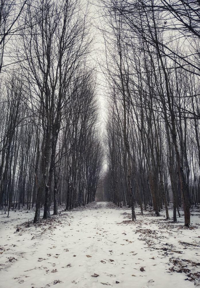 Photograph by Олеся Бронзова