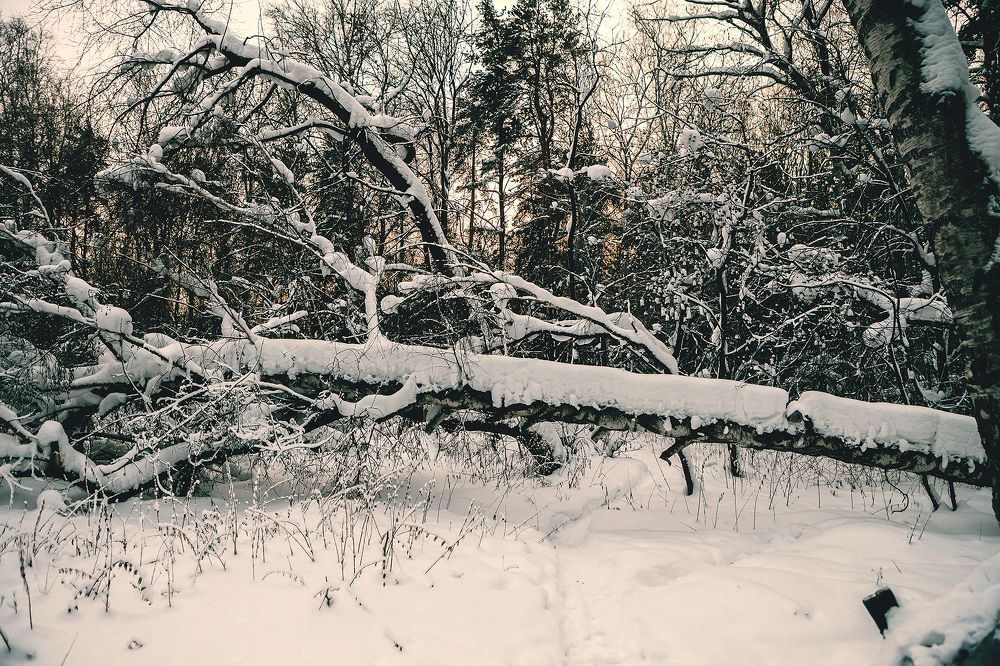 Photograph by Ivan Osipov