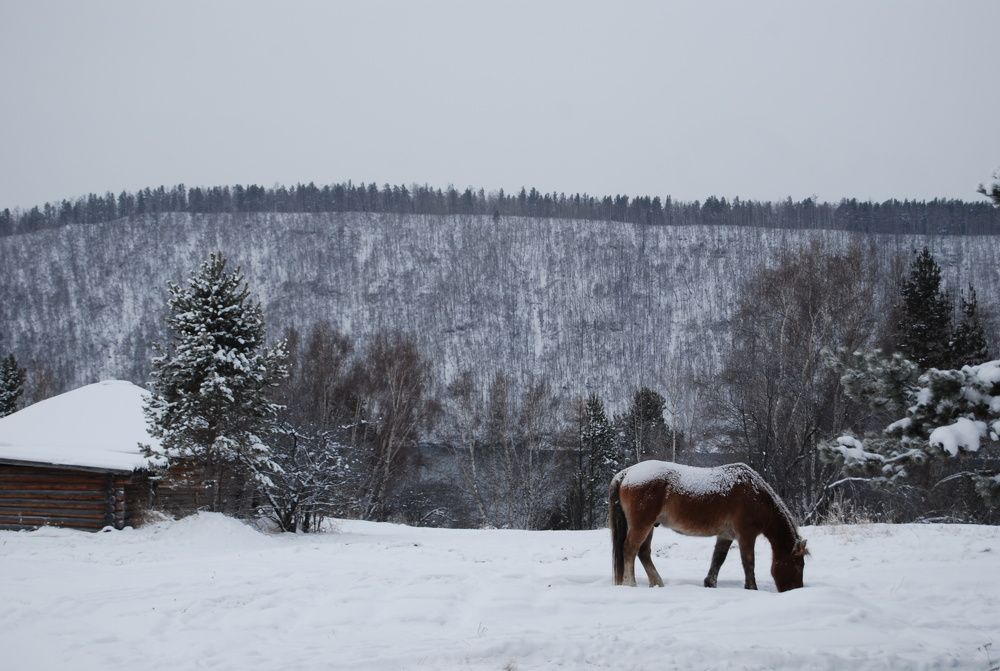 Photograph by Оксана Трофименко