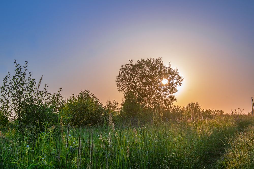 Photograph by Герман Корнеев