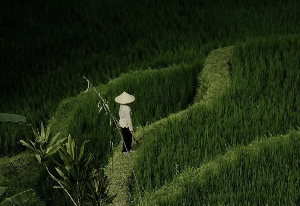 Photograph by dewa putra