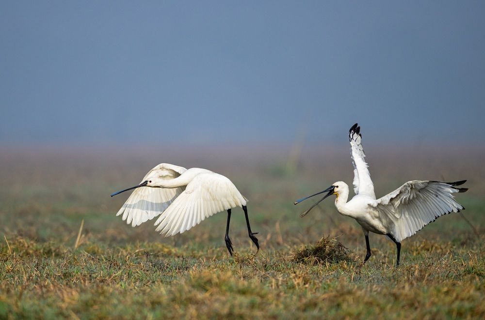 Фотография автора Prashant Parate