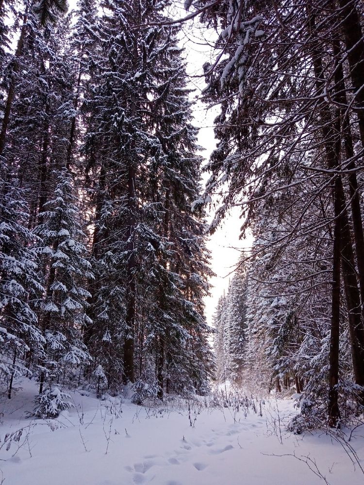 Photograph by Хамитова Светлана