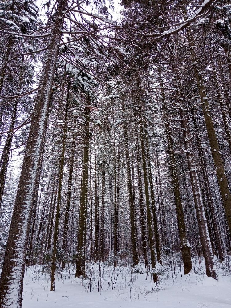 Photograph by Хамитова Светлана