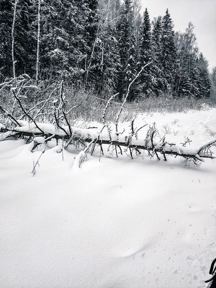 Photograph by Elena Novikova