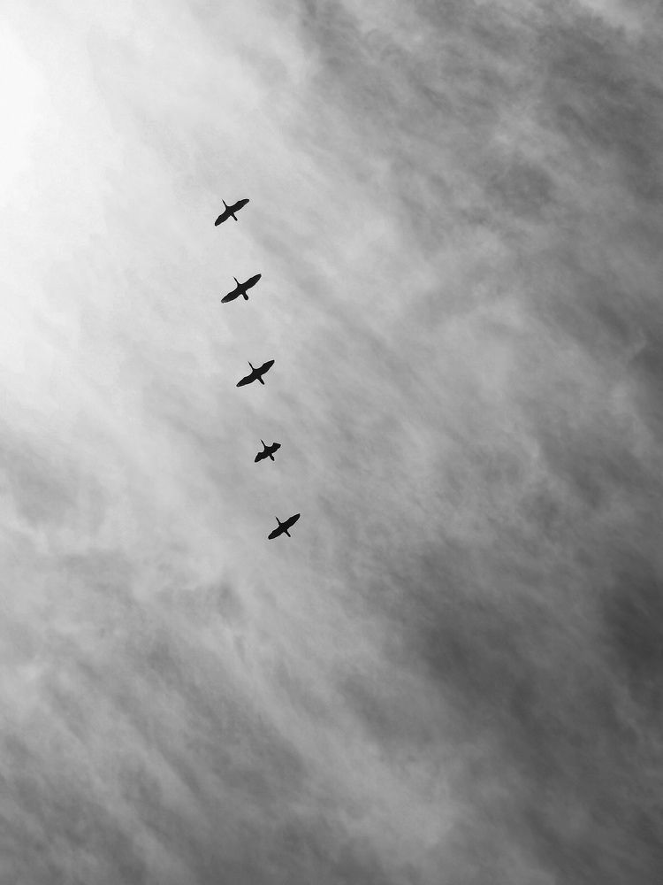 Photograph by Елена Артёменко