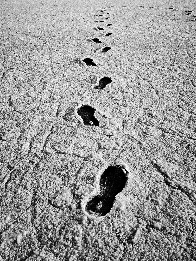 Photograph by Елена Артёменко