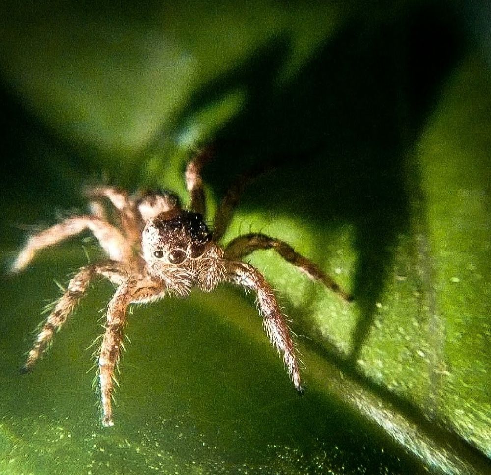 Photograph by Samyuktha Narayanan