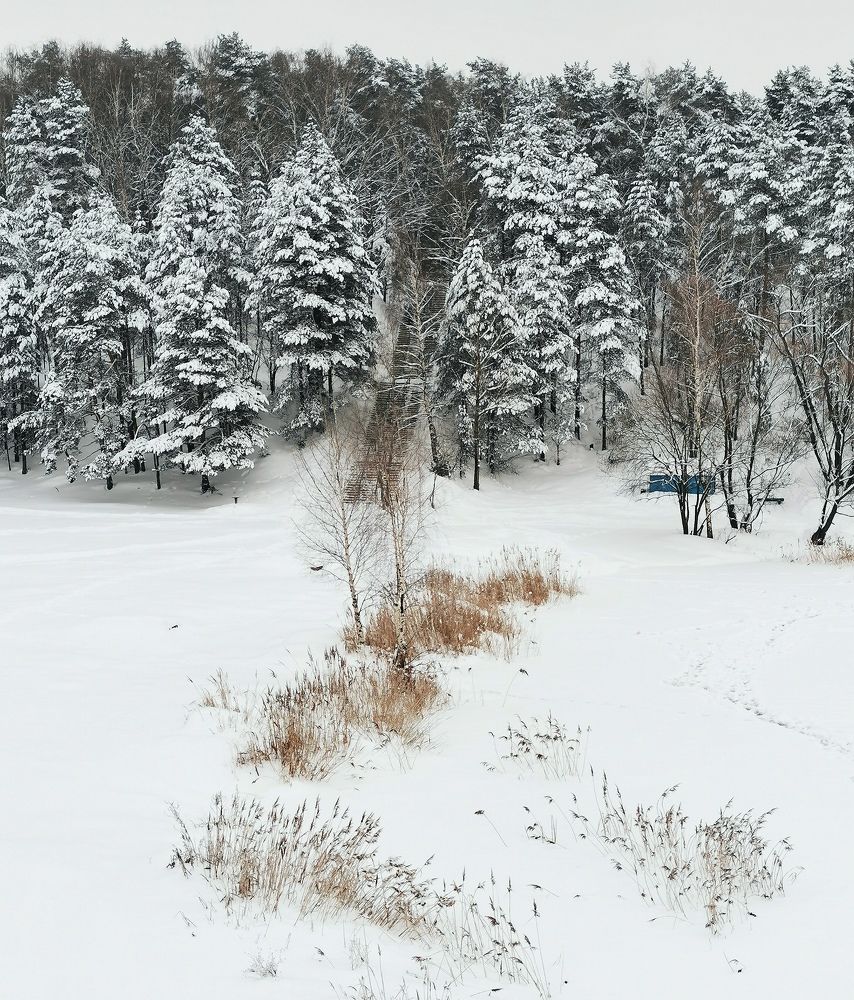 Photograph by Елена Артёменко