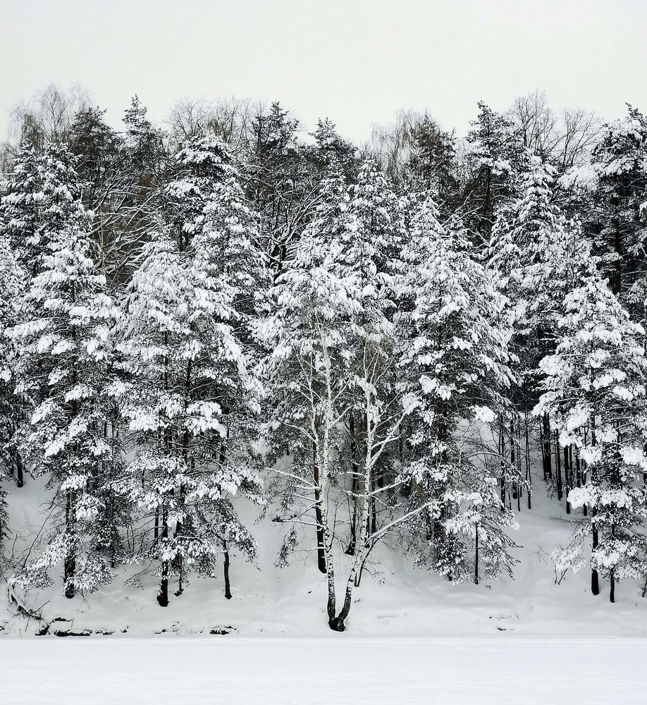 Photograph by Елена Артёменко