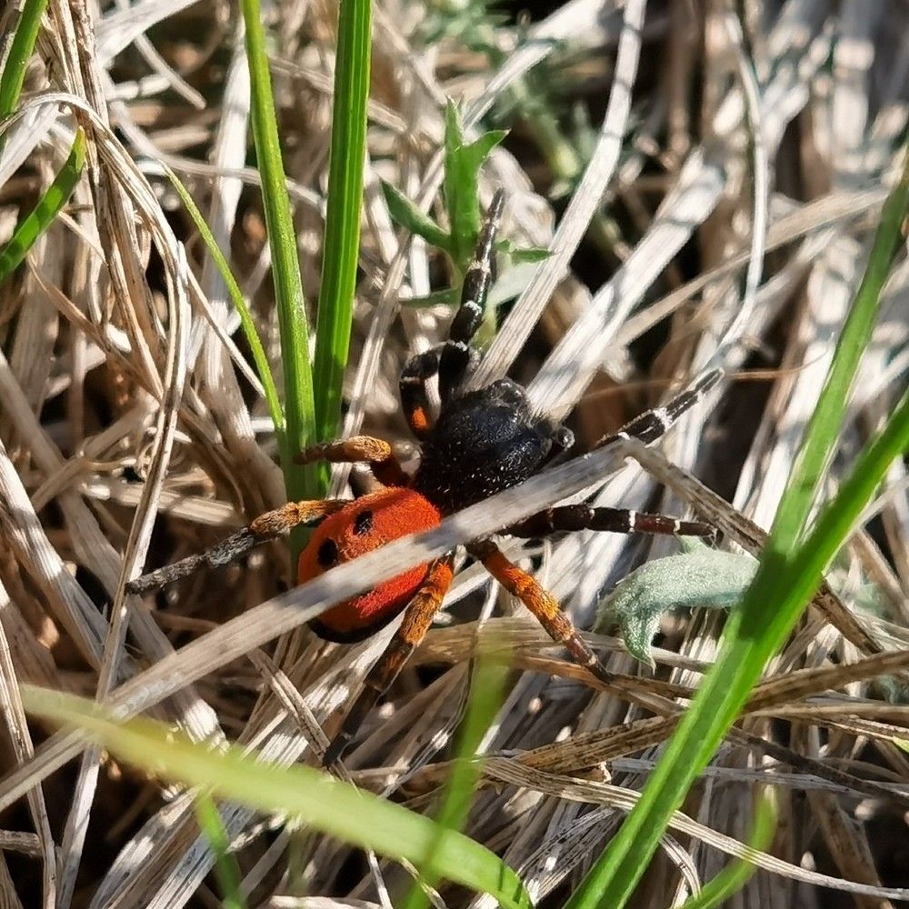 Photograph by Сергей Горбунов