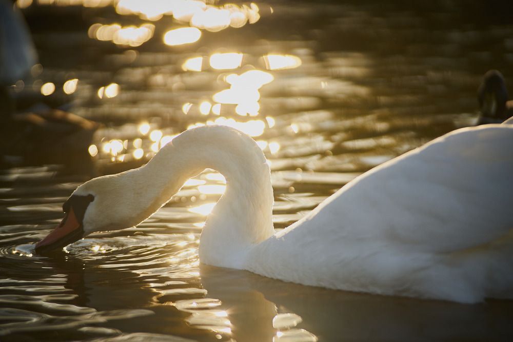 Фотография автора Вагуро Евгений